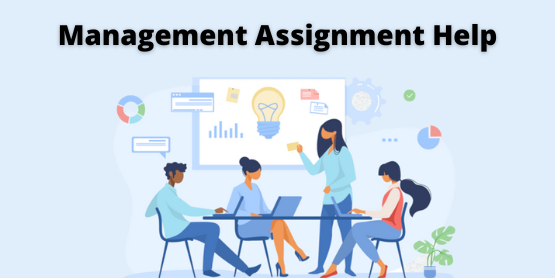 Management Assignment Help